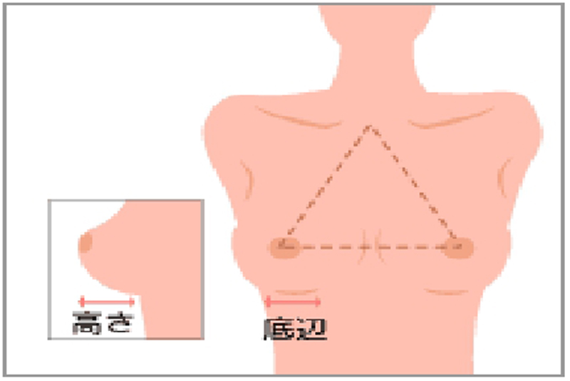 ～理想のバスト～