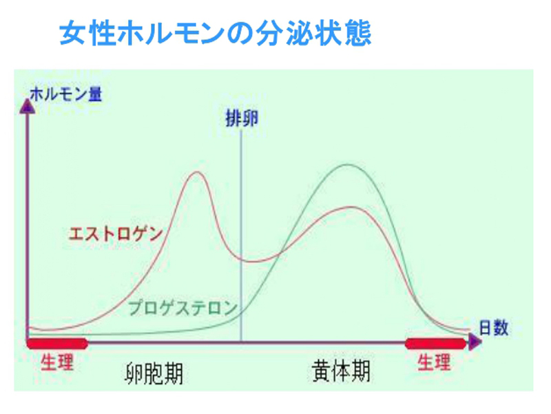 女性ホルモンの分泌状態