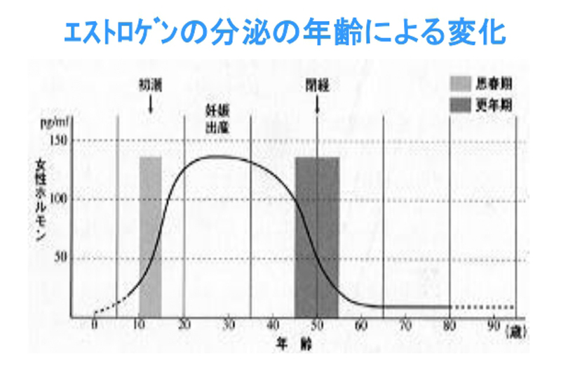 エストロゲンの分泌の年齢による変化